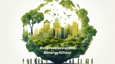 Energies and Sustainability Confartigianato High School