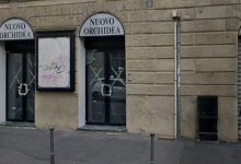 Ex Cinema Orchidea
