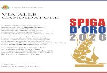 Spiga d’Oro 2026