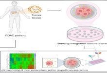 studio processo tumore del pancreas