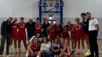 Vismara Vertemate 51-34