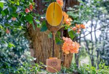 forestami progetto forestazione urbana milano
