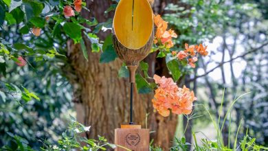forestami progetto forestazione urbana milano