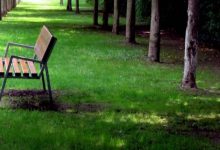 regolamento tutela del verde a milano